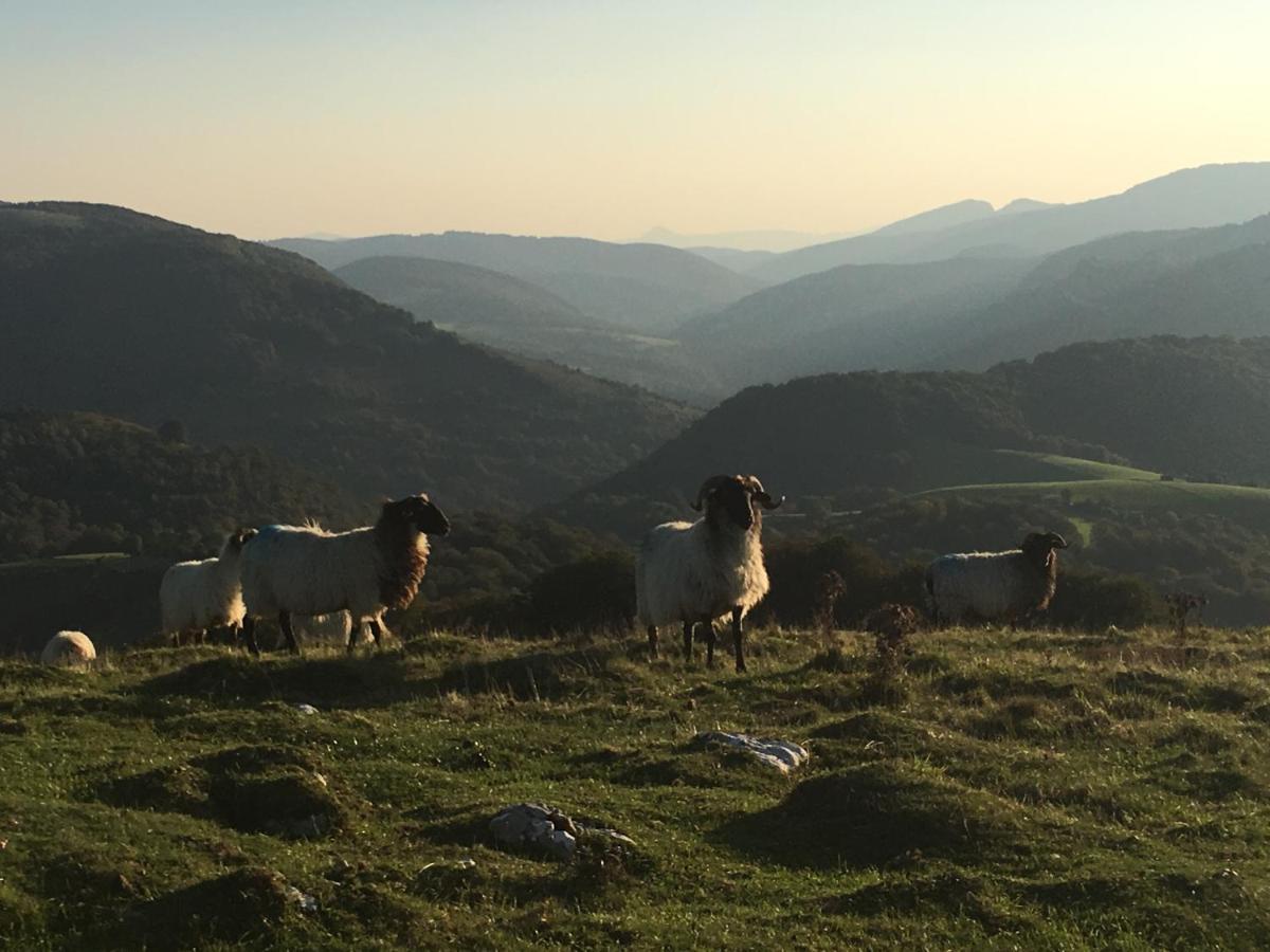 Selbaondoa, Casa Con Patio En El Prepirineo Navarro Lumbier Eksteriør bilde